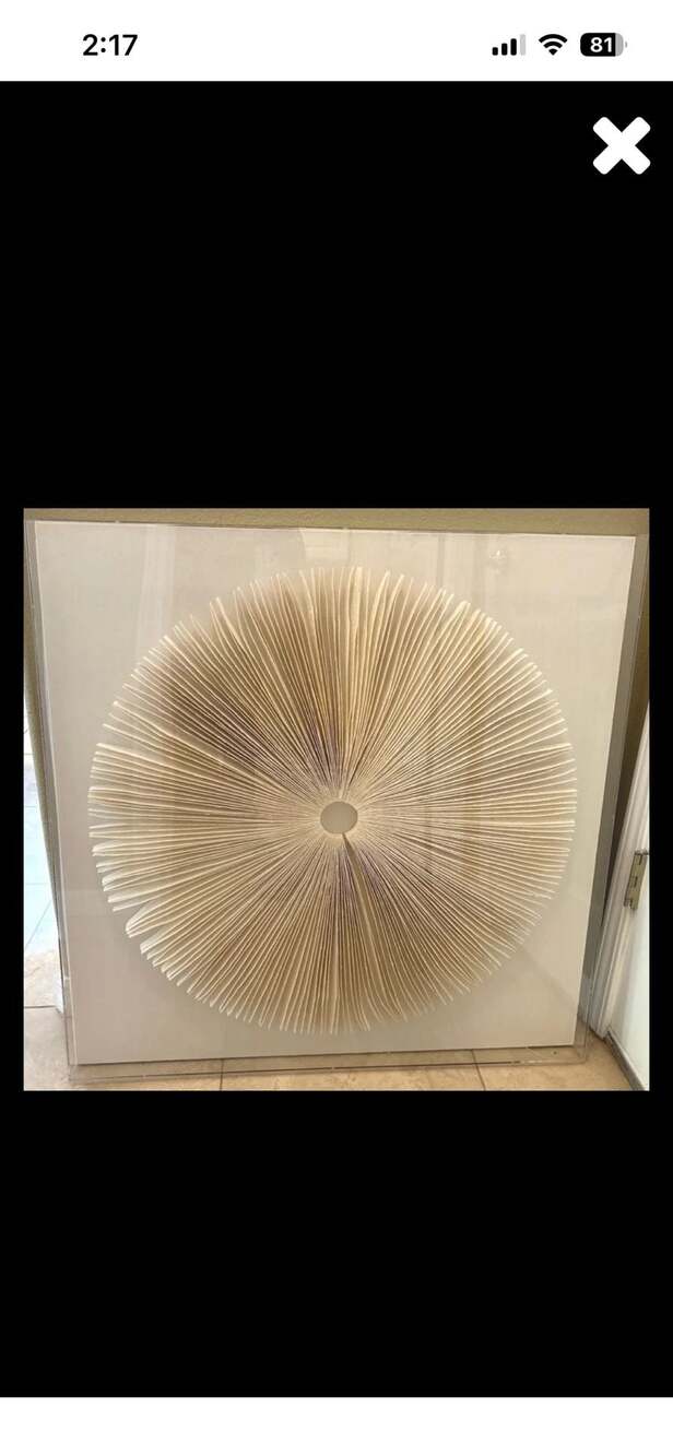 Restoration Hardware RH Teen Rice Paper Mandala Framed Art Shadow Box